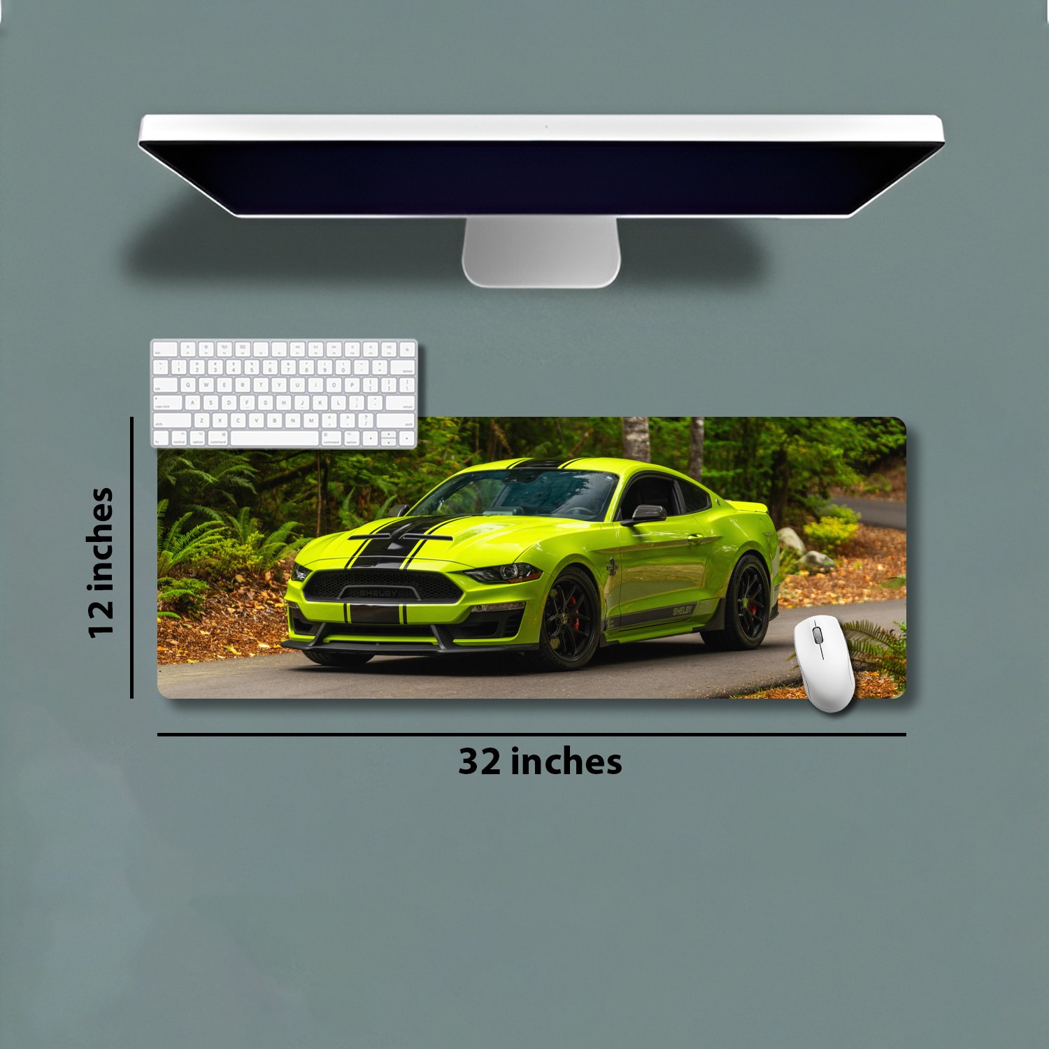 32''X11''