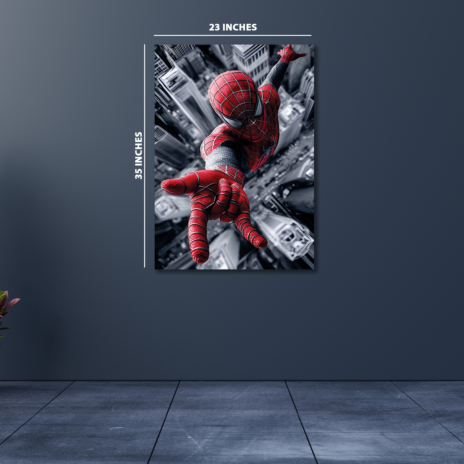 35''x23''