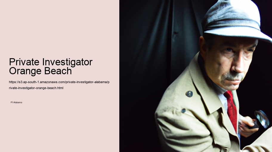 Private Investigator Orange Beach
