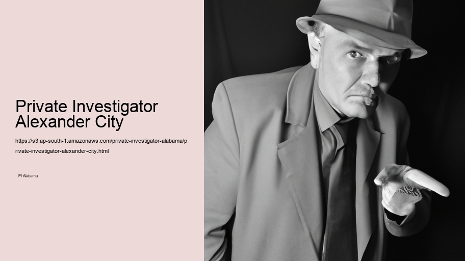 Private Investigator Alexander City
