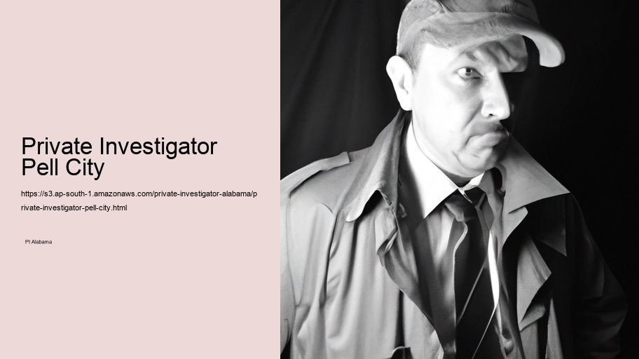 Private Investigator Pell City