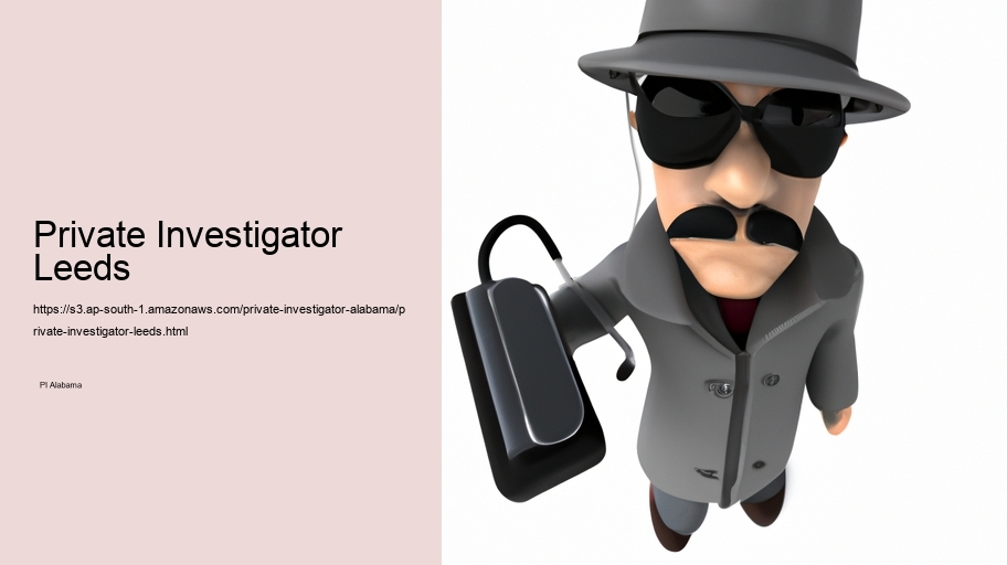 Private Investigator Leeds