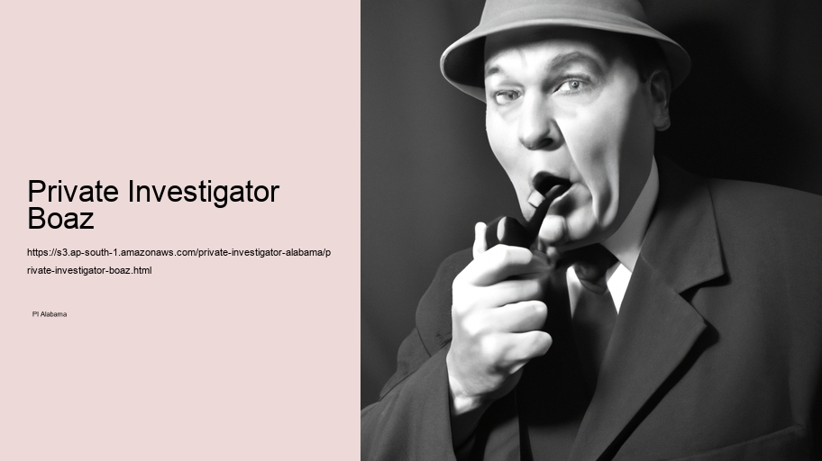 Private Investigator Boaz