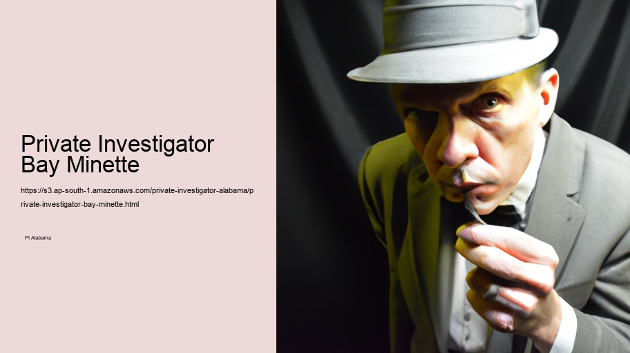 Private Investigator Bay Minette