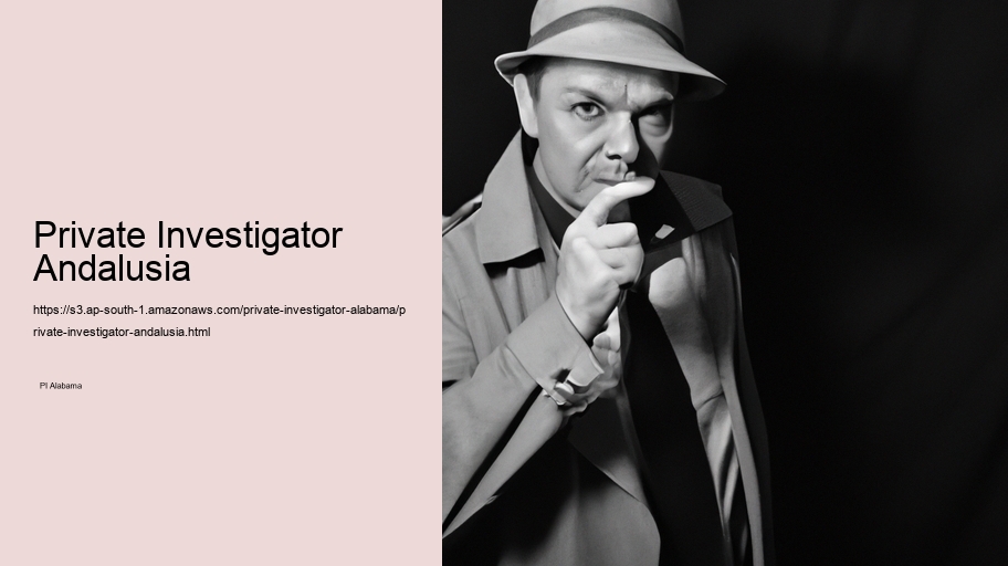 Private Investigator Andalusia