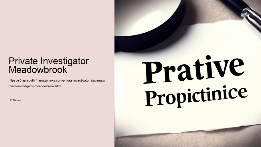 Private Investigator Meadowbrook