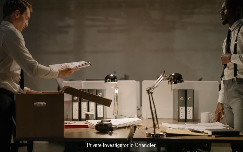 What types of detective services are available in New Mexico?