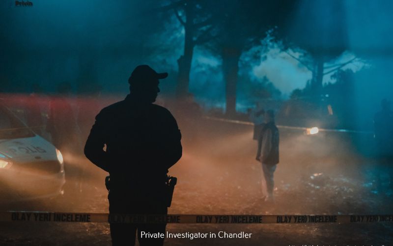 What services do private investigators offer in New Mexico?