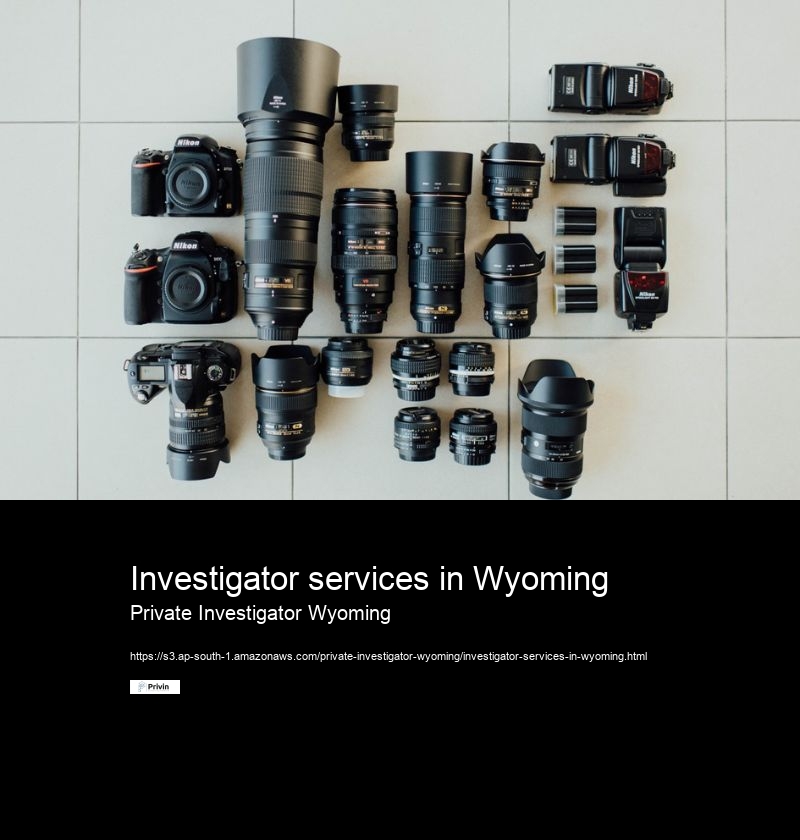 How do I get started with a private investigator in Wyoming?