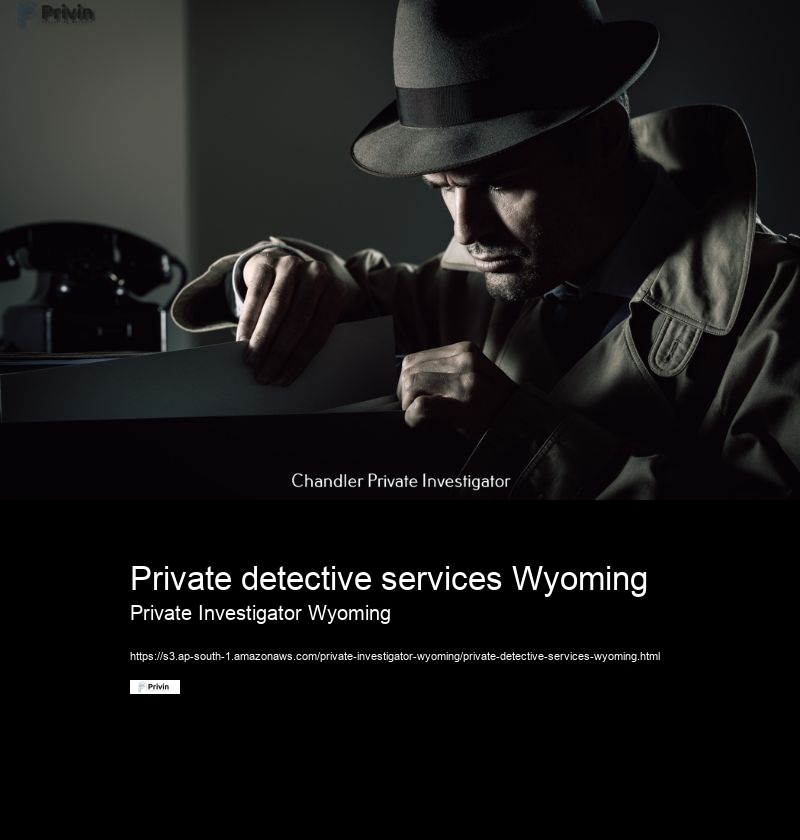 How do I find a licensed private investigator in Wyoming?