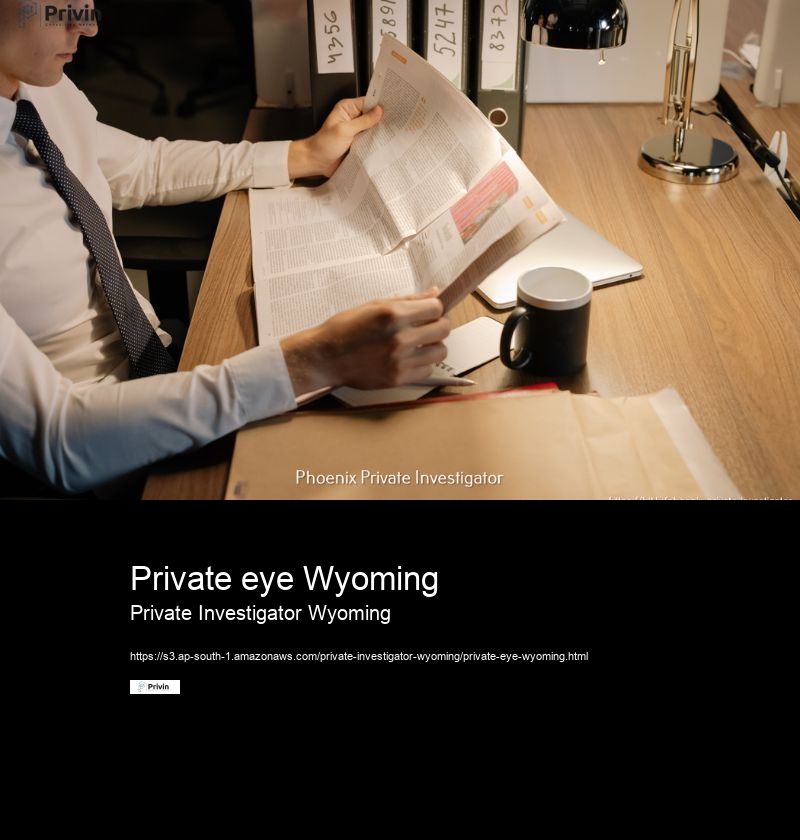 What are the different types of services that a private investigator in Wyoming can provide?