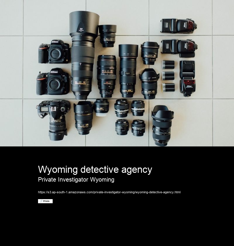 What are the steps involved in hiring a private investigator in Wyoming?