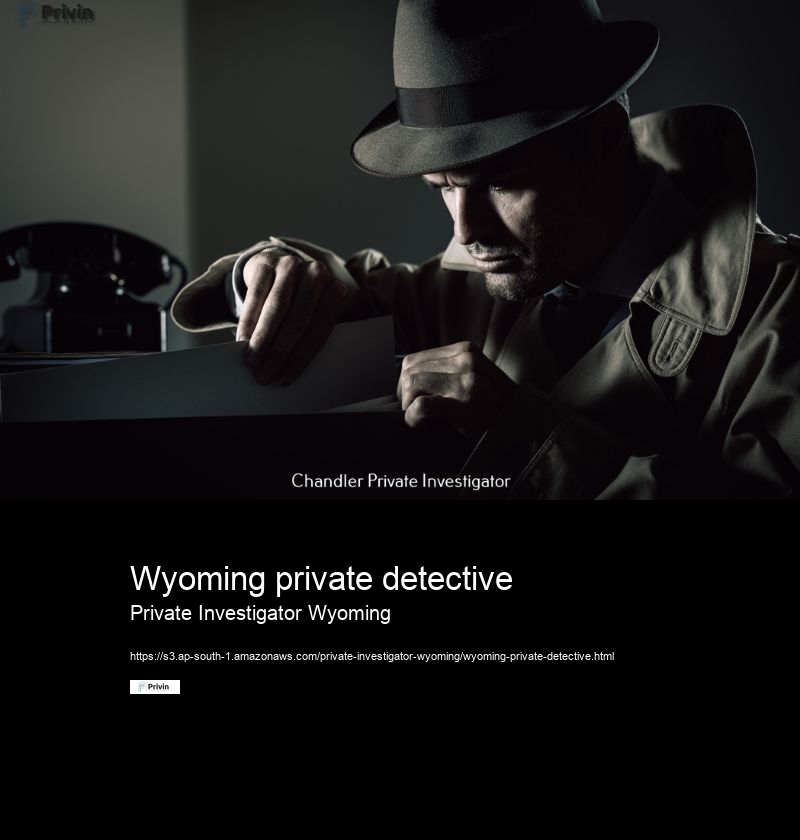 What are the ethical guidelines for private investigators in Wyoming?
