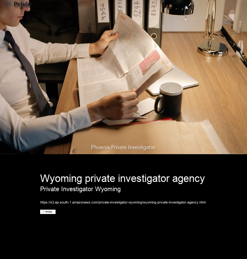 What are the common types of cases that private investigators in Wyoming handle?