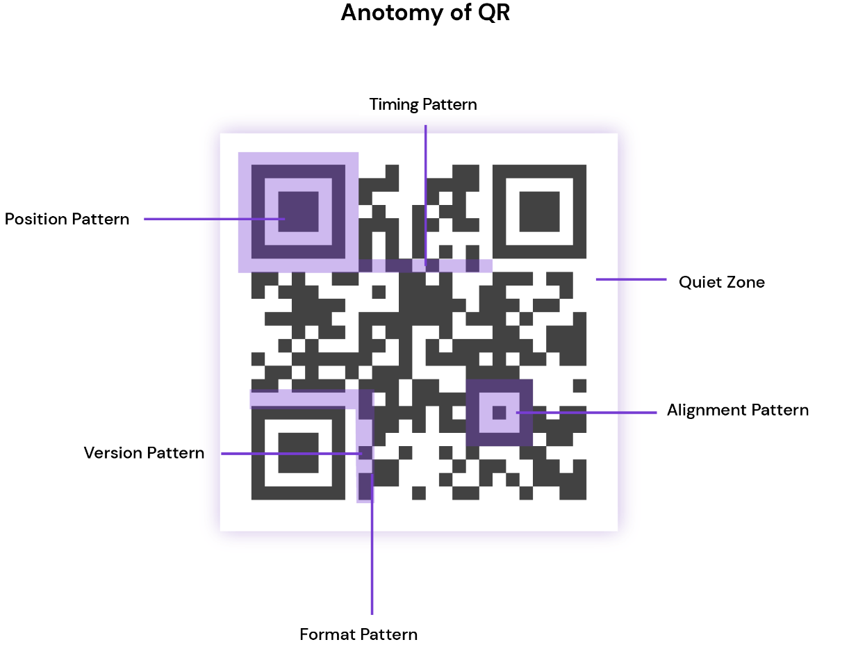 anotomy-qr-code