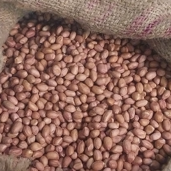 Peanut Chaat: A Superfood Snack You Can Make in Minutes