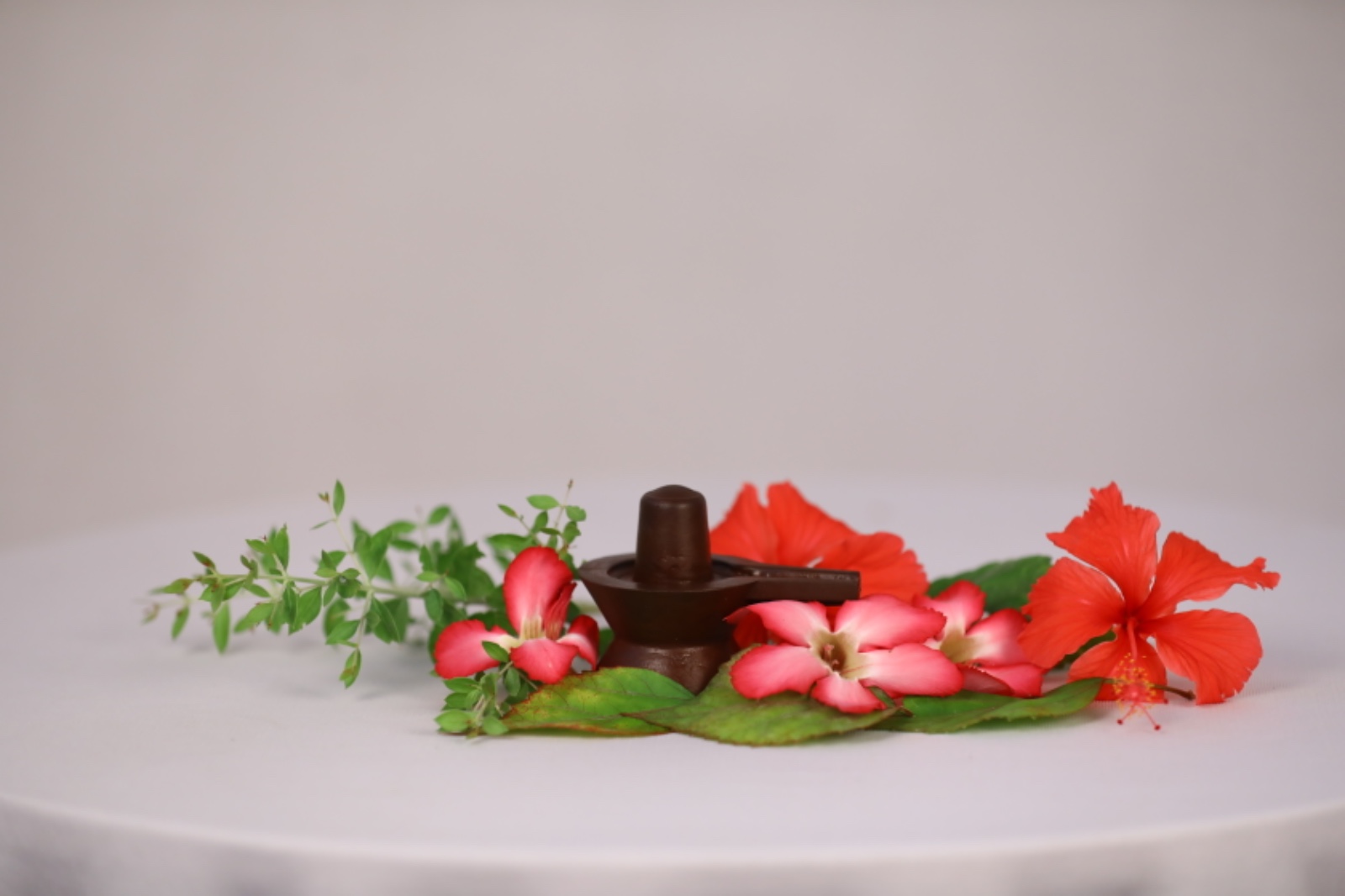 Discover the Transformative Power of Navapashanam Shivlingam