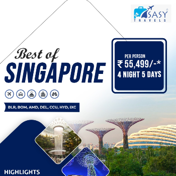 Top 5 Reasons to Choose Sasy Travels – The Best Travel Agency in Mumbai