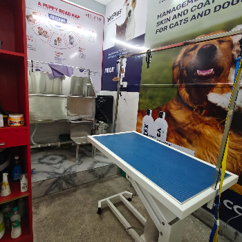 Meet Arjun: How The Paws Avenue Transformed His Pet Grooming Experience