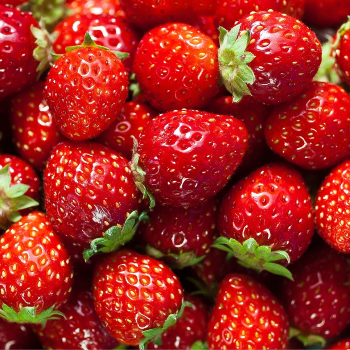 Savoring Sweetness: How Strawberries Changed Priya's Life