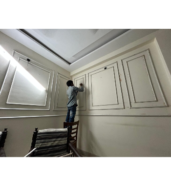 Transforming Home Spaces: How Mukesh, the Reliable Carpenter, Solves Your Wall Bidding Woes