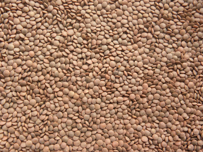 Empowering Lakshmi: Nourishing Families with Masoor Dal