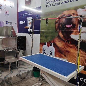 Transforming Tangles to Trust: A Pet Grooming Journey with The Paws Avenue