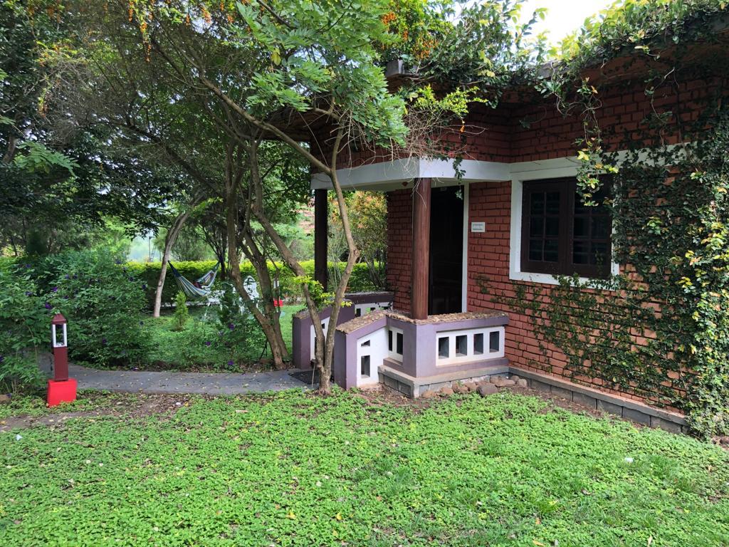 Discover Serenity: The Perfect Retreat for the Overburdened Professional