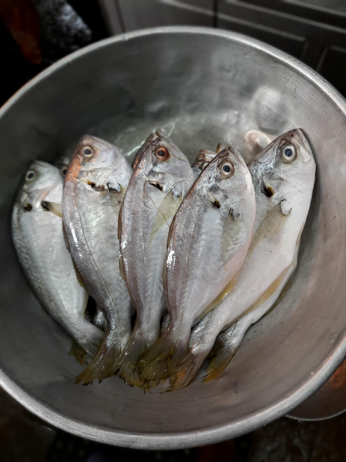 Soundadi: Transforming the Lives of Traditional Fish Merchants