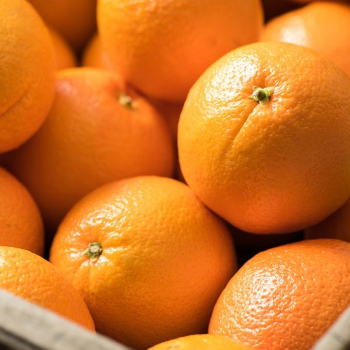 Unlocking the Magic of Oranges: A Game-Changer for Health Enthusiasts