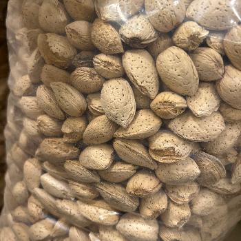 Embrace Wellness with Kashmir Badam: A Story of Health Transformation