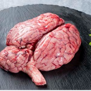 Early Morning Avaiable