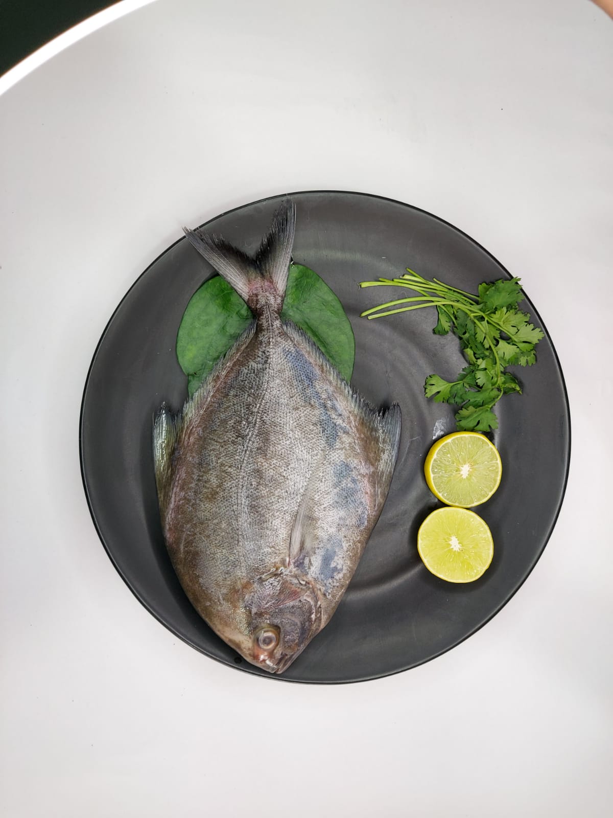 Discover the Culinary Magic of Premium Black Pomfret Halwa