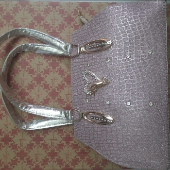 A Tale of Style and Function: How One Handbag Transformed Anjali's Life