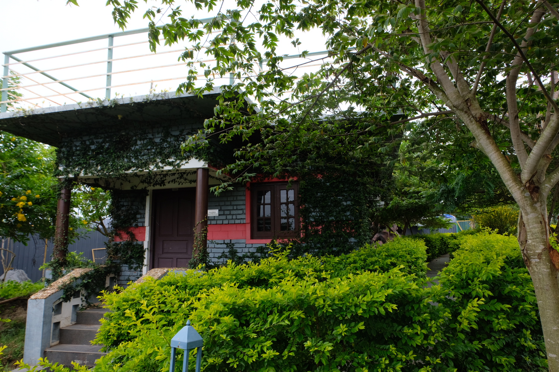 Escape the Hustle: Discover the Serenity of Our Luxurious Chalets