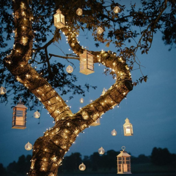 Transforming Dreams into Reality: How Event Design in Vadodara Elevates Your Special Day