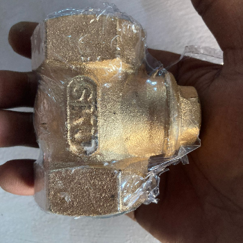 Empowering Efficiency: How Check Valves Revolutionize Business Operations