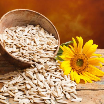 Sunflower Seeds: A Nutritious Solution to Kavita’s Busy Lifestyle