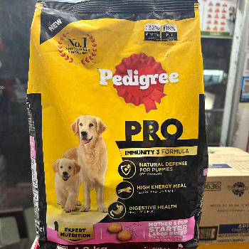 How Pedigree Solves the Needs of Indian Pet Parents