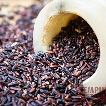 Embracing Tradition with Karuppu Kavuni Rice: A Journey to Health and Heritage