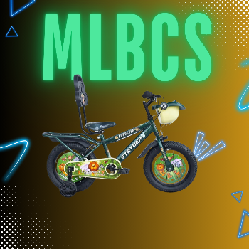 Reclaiming Freedom: How the Stryder Forester Transforms Lives