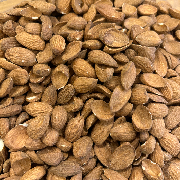 Discover the Hidden Benefits of Mamra Curved Badam for Riya’s Busy Life