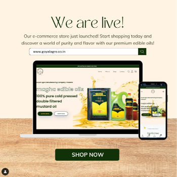 Simplifying Shopping for Busy Indian Families: Meet Goyal Agro's Delivery Solution