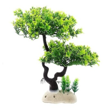 Transforming Your Aquarium into a Vibrant Oasis with Jainsons Pet Products