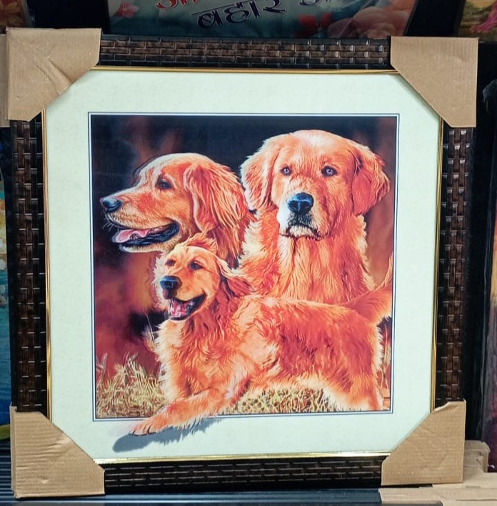 Cherished Memories: How a 12x12 Frame Transformed Meera's Living Space