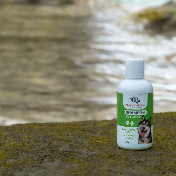 Say Goodbye to Ticks: Discover the Power of Neem and Aloe Vera