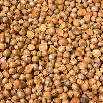 Embrace Wellness with Mountain Garlic: A Natural Solution for Holistic Health