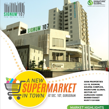 Transform Your Business Vision into Reality with the Perfect Commercial Showroom