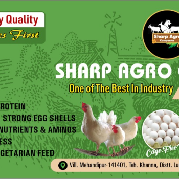 The Herbal Egg Revolution: Transforming Health and Sustainability in Indian Kitchens