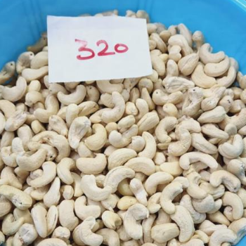 Discover the Perfect Cashew Experience: A Tale of Quality and Tradition